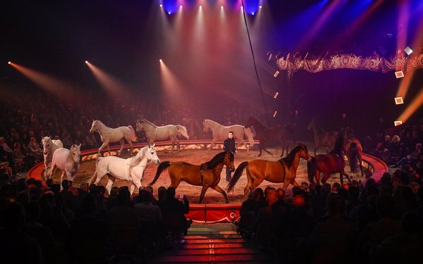 Gewinnen Sie X Tickets F R Den Circus Knie In Luzern Tierwelt Ch