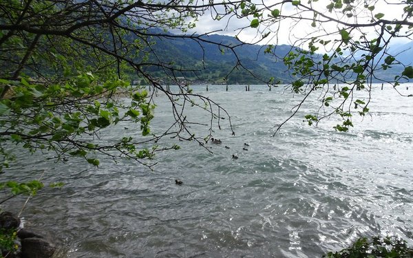 Wanderung Im Berner Oberland Burgruinen Naturwunder Und Drachenh Hle