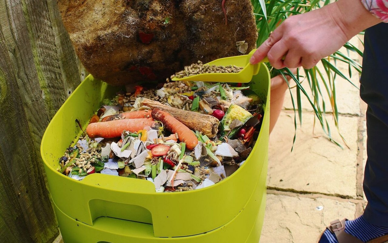 Der Kompostwurm ist in Europa die verbreitetste Art des Regenwurms.