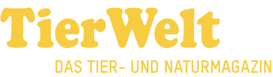 TierWelt Logo