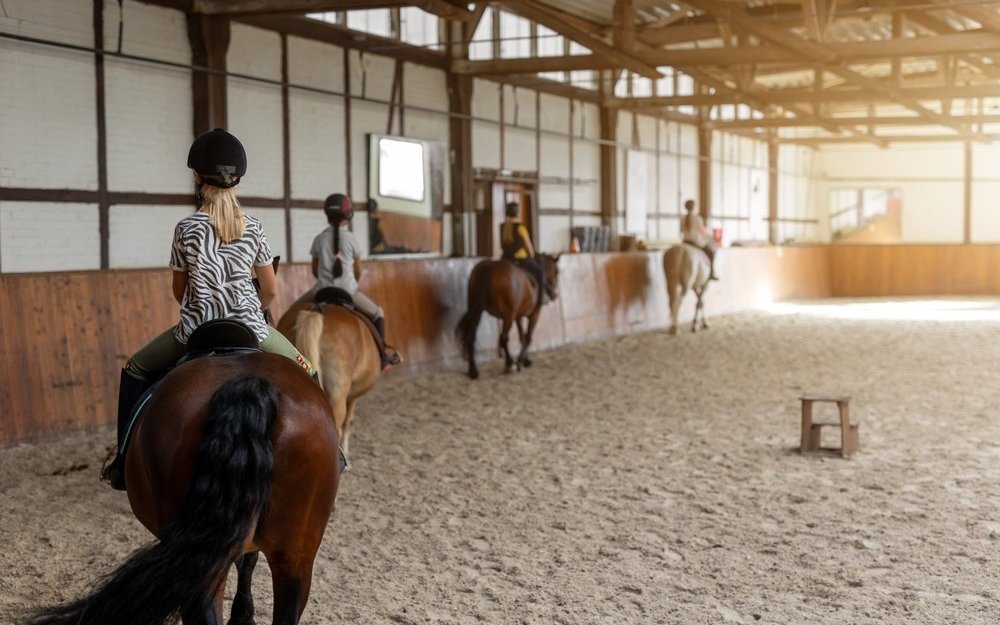 In der Schweiz gibtes mehr als 500 Reitschulen, die Kinder aufs Pferd bringen.