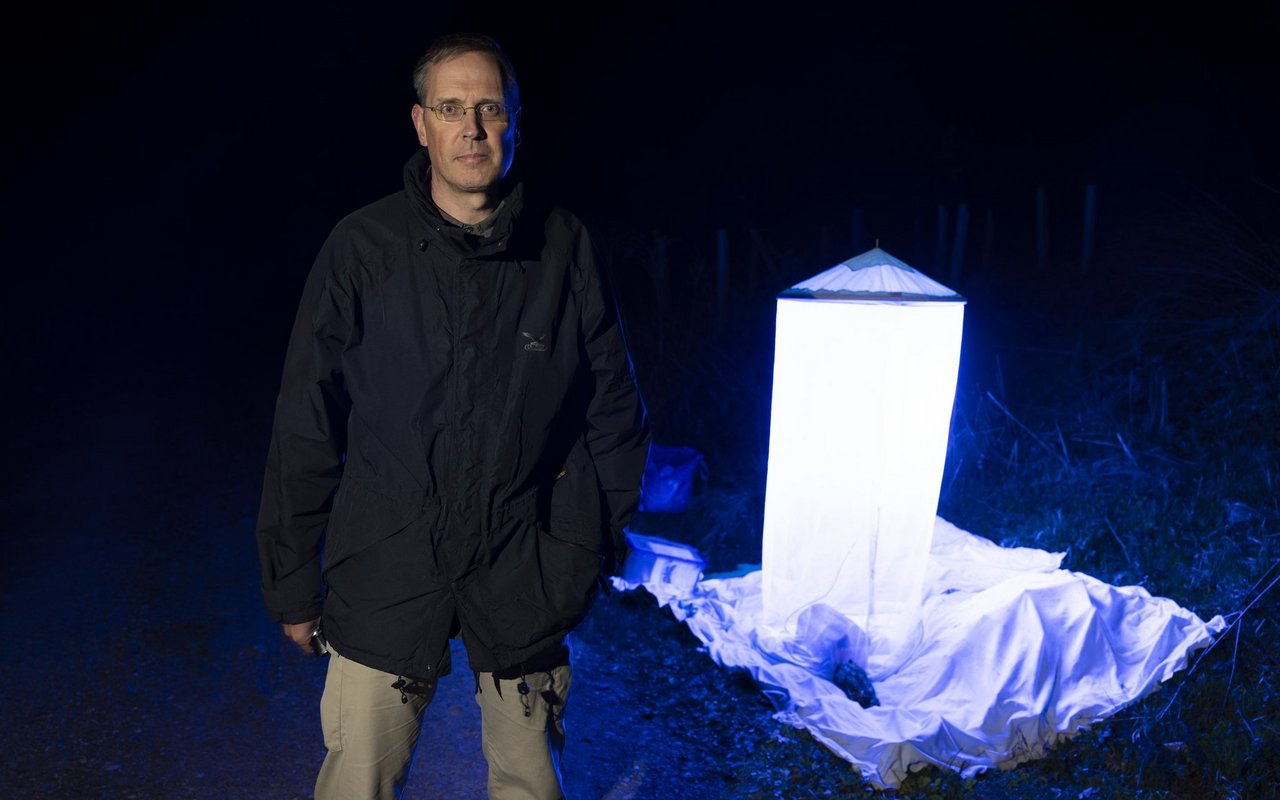 Der Entomologe und Schmetterlingsspezialist Martin Albrecht wartet geduldig auf Nachtfalter, die sich auf der UV-Lampe niederlassen.