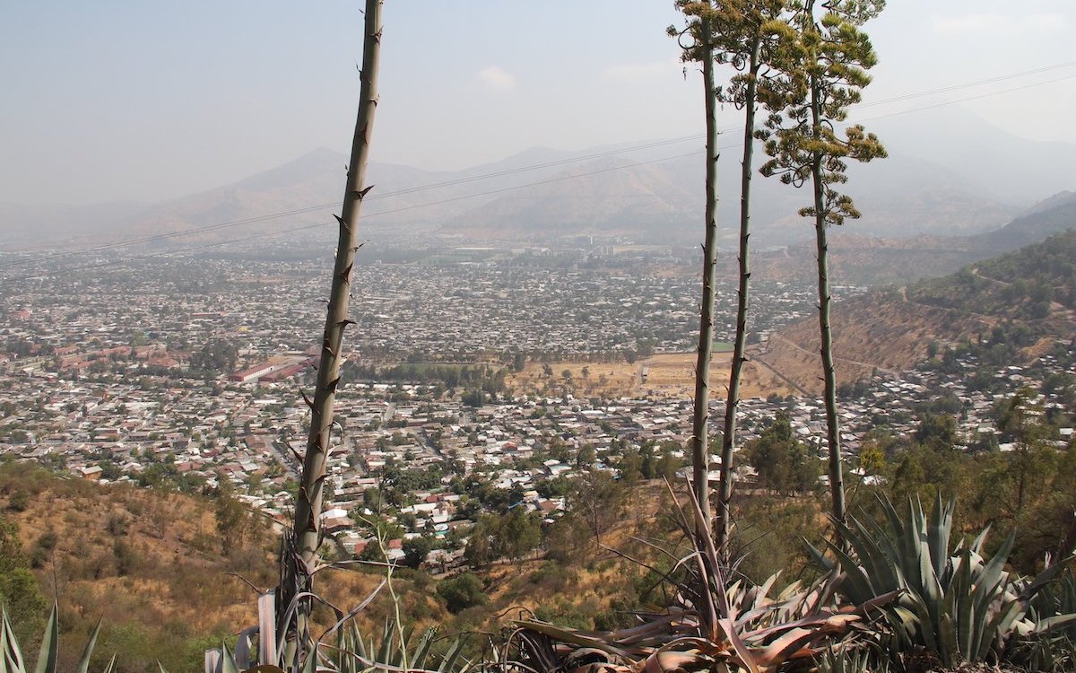 Die Vegetationsform in Santiago de Chile ist mediterran geprägt. 