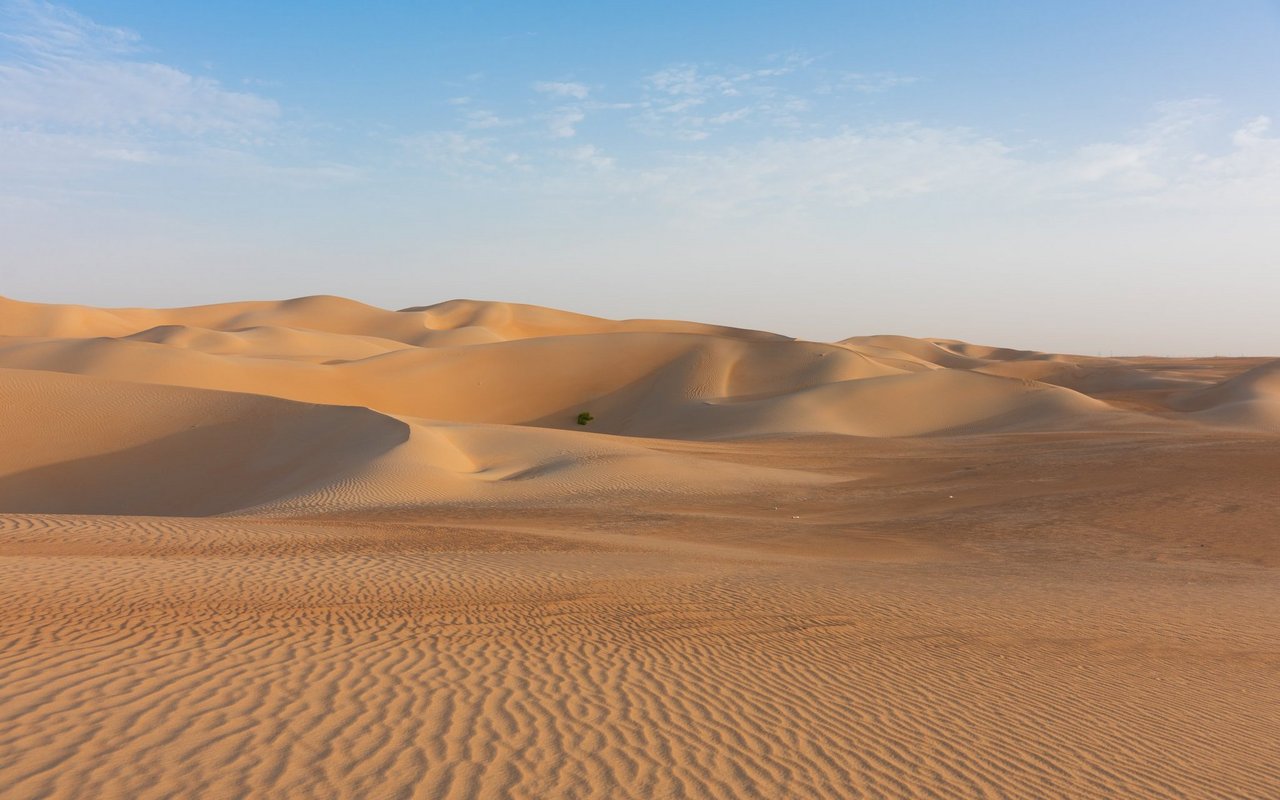 Ein trockenes Gebiet voller Sand, so stellen sich die meisten wohl eine Wüste vor. 