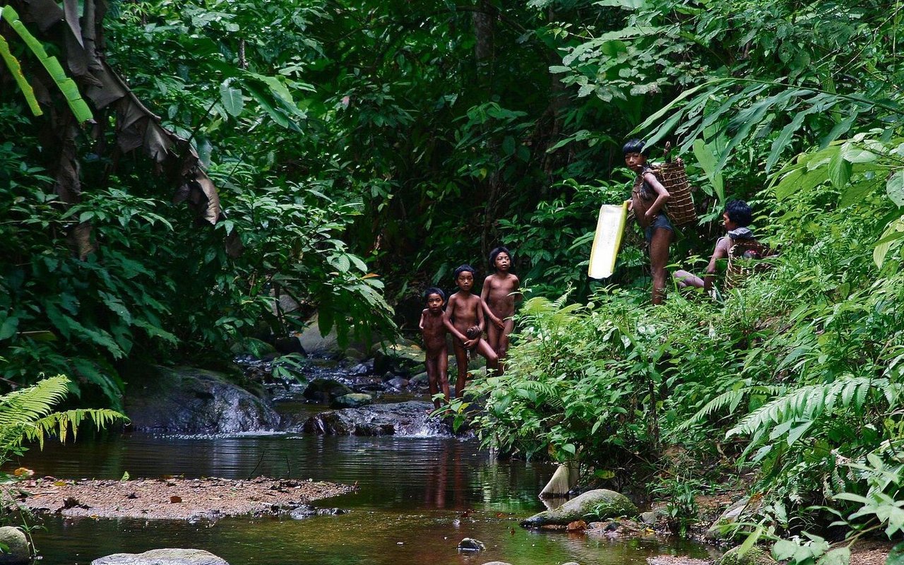 Die Maniq leben isoliert tief im Thailändischen Regenwald. 