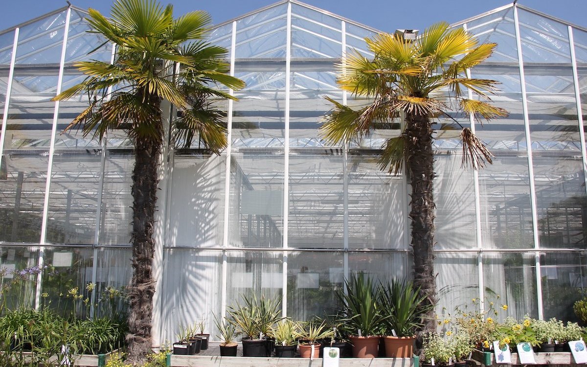 Die tropische Atmosphäre des Garden Centre in La Croix-sur-Lutry bietet ein wundervolles Ambiente für die exotische Vogelwelt. 