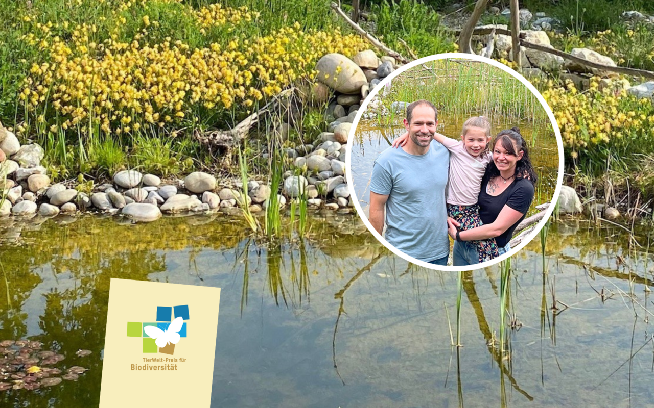 Aus dem grossen Weiher des Naturgartens konnte Familie Murer bereits den Ruf einer Geburtshelferkröte vernehmen.