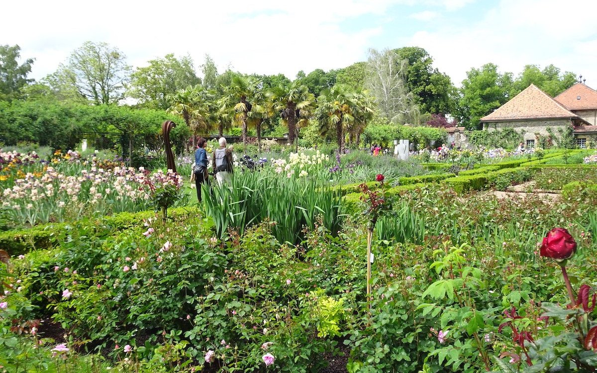 Kernpunkt des Château Vullierens ist der Iris-Garten. 