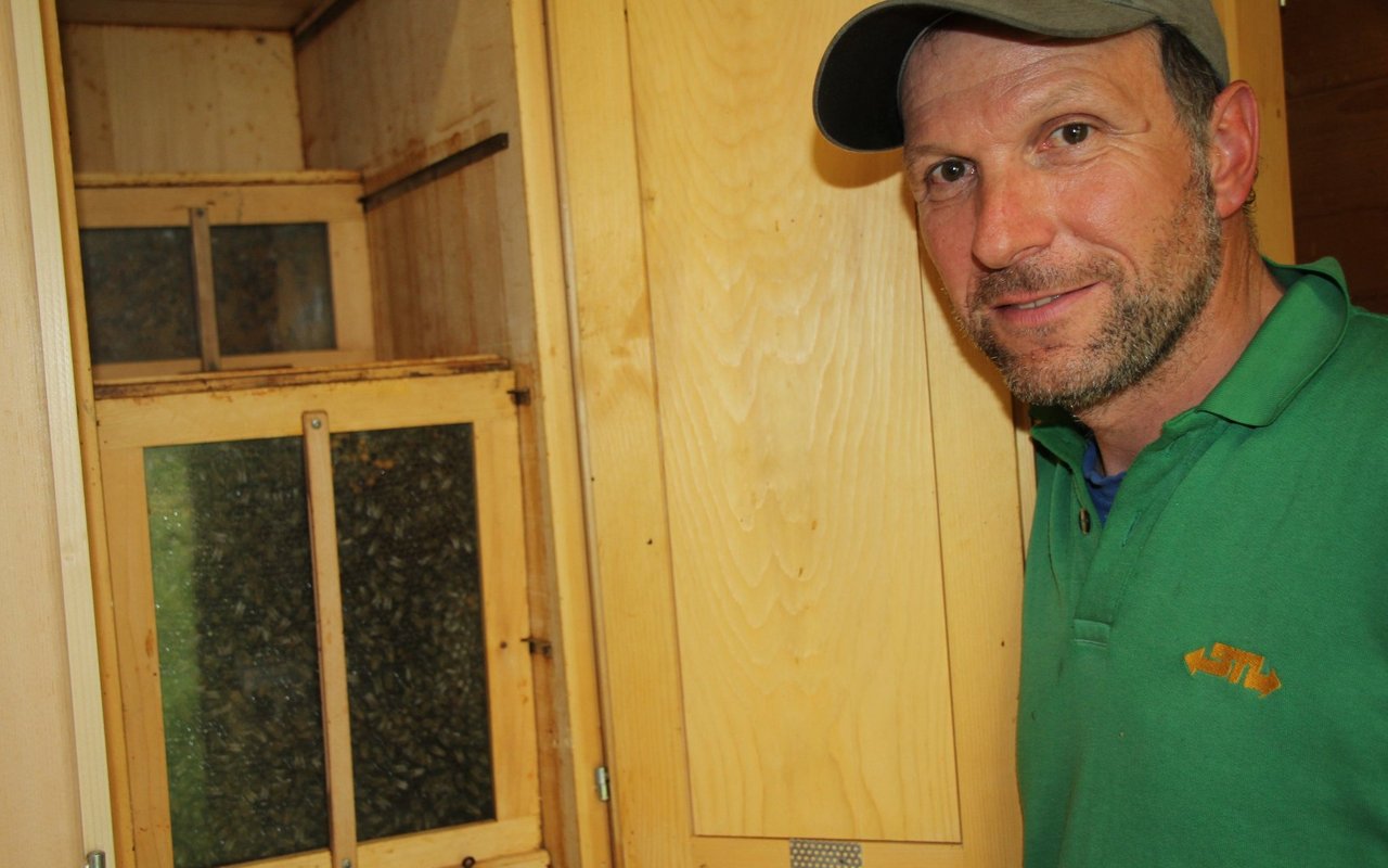 Ruedi Lehmann kontrolliert ein Bienenvolk. 