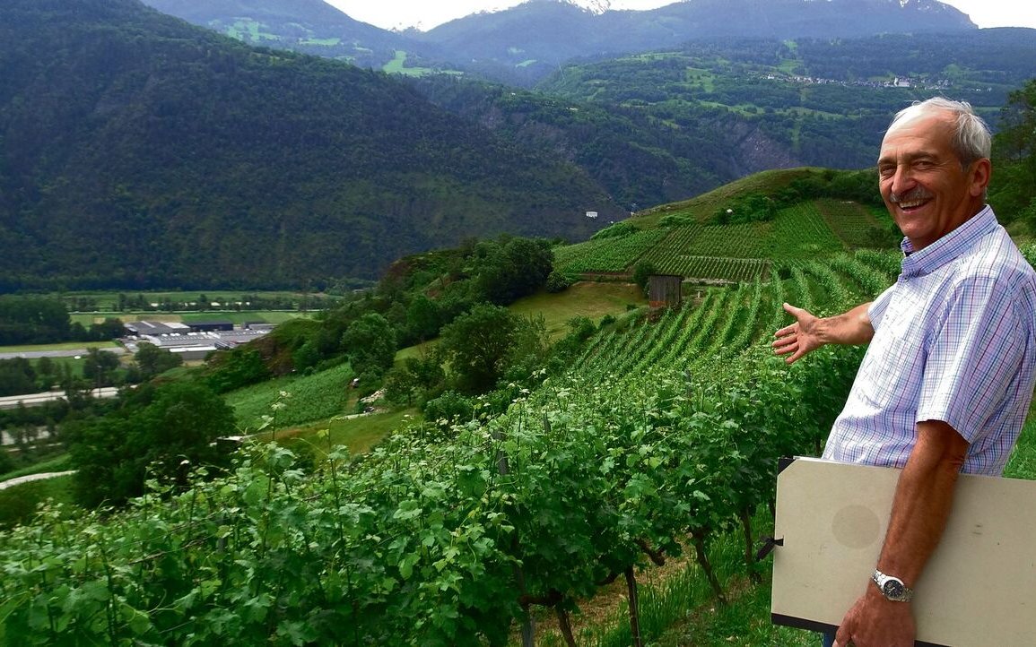 Der Ornithologe Ruedi Salzgeber weist über die Rebenlandschaft bei St. German, wo beispielsweise auch der Wiedehopf lebt.