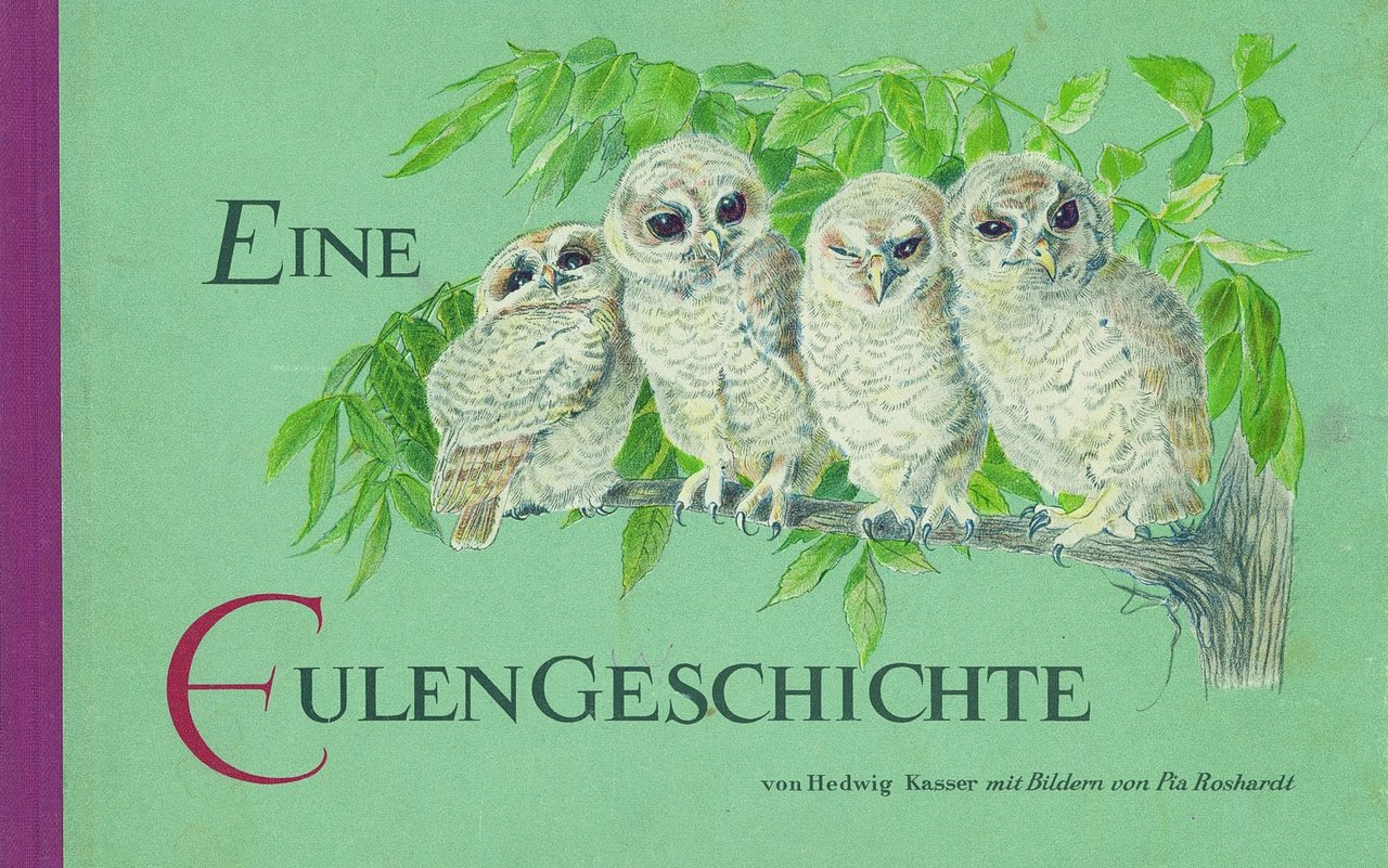 Das Cover der Eulengeschichte von Hedwig Kasser.