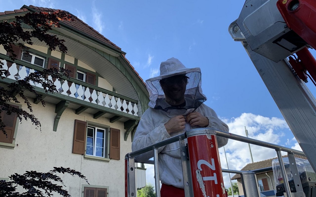 Gut eingepackt schwebt Josua Sommer auf der Hebebühne dem Bienennest unter dem Dach entgegen. 