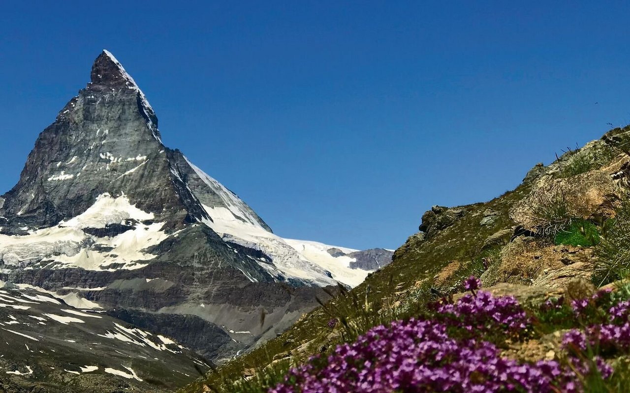 Vom höchstgelegenen Alpingarten bei der Station Rotenboden liegt die Sicht aufs Matterhorn frei. 