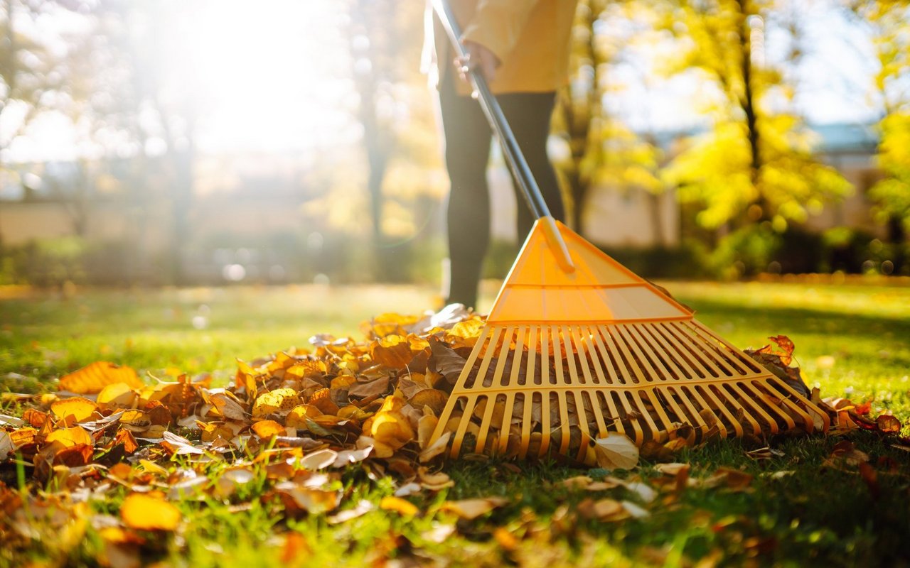 Damit der Rasen wieder ordentlich wachsen kann, helfen ein paar Arbeiten im Frühling.