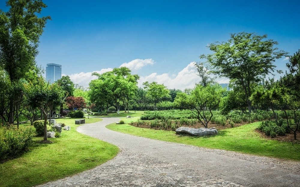 Parks in Städten sind grüne Lungen und die Vegetation saugt wie ein Schwamm Regenwasser auf. 