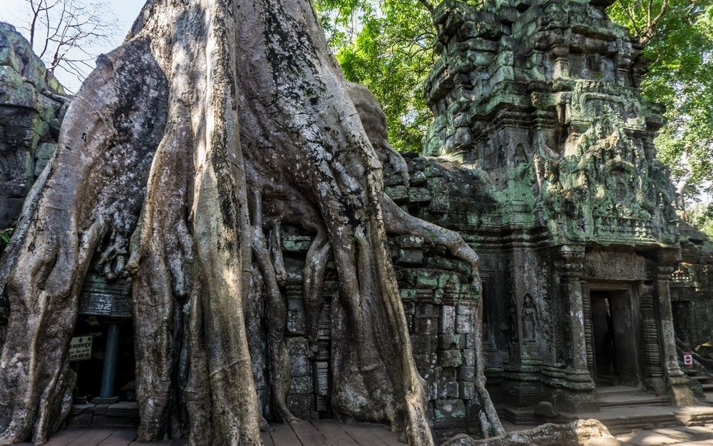 Angkor Watt in Kambodscha. 