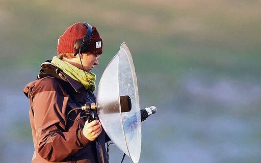 Noémie Delaloye braucht viel Geduld, Zeit und Glück, um Geräusche aus der Natur einzufangen. 