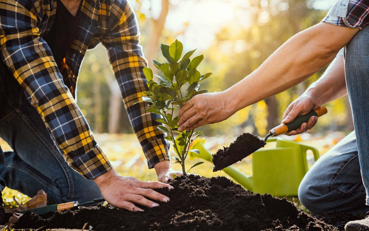 Schon auf einer Fläche von 50 Quadratmetern lässt sich ein Waldgartensystem anlegen.