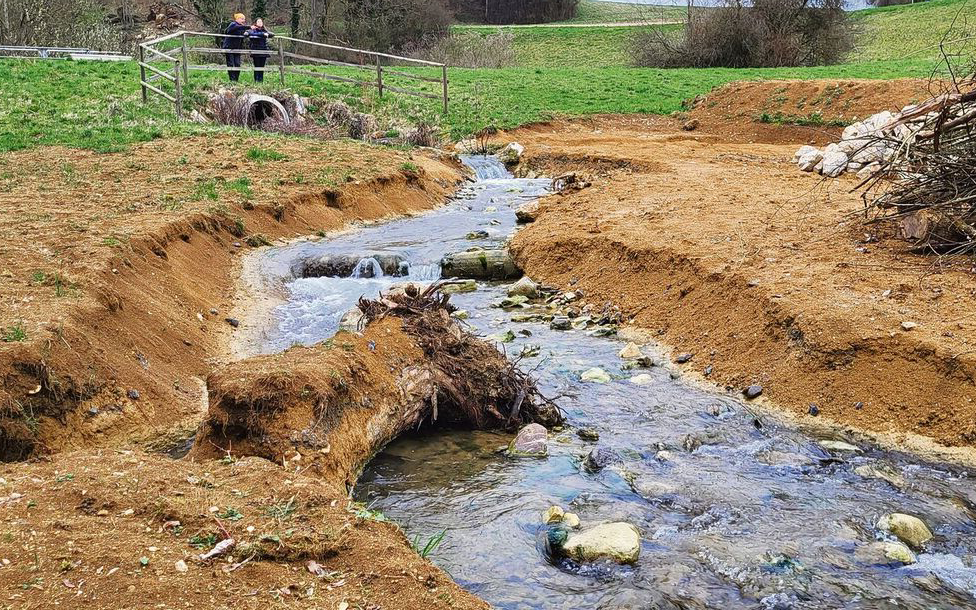 Um Gemeinden bei der Revitalisierungen zu unterstützen, hat Aqua Viva das Projekt «Lebendiger Dorfbach» ins Leben gerufen. 