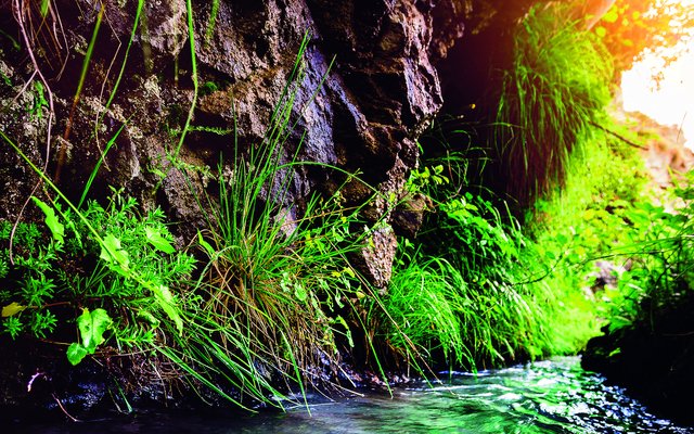 Durch die Suonen fliesst im Wallis Wasser aus den Bergtälern in Dörfer und bewässert die Felder an trockenen Hängen. 