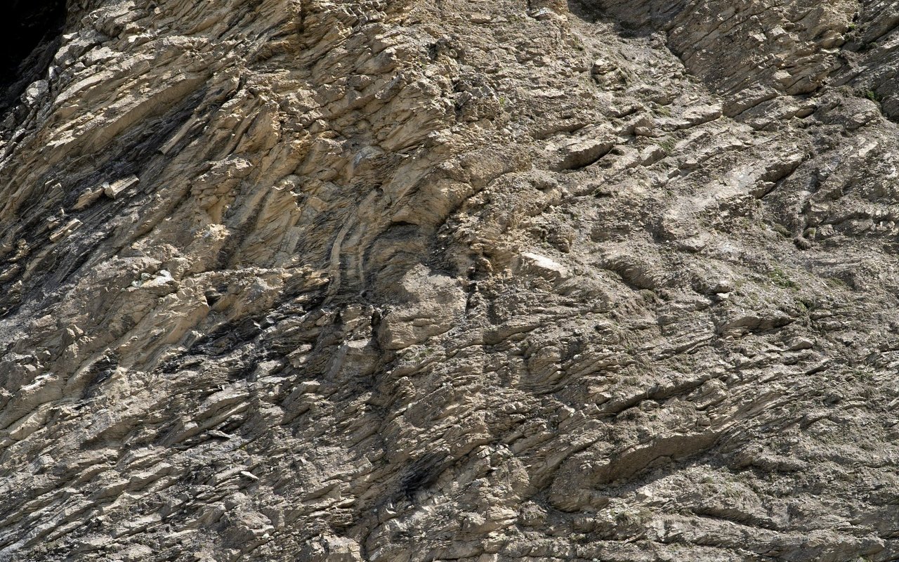 An dieser scheinbar kahlen Felswand erkennt er mit dem Feldstecher das Schweizer Mannsschild.