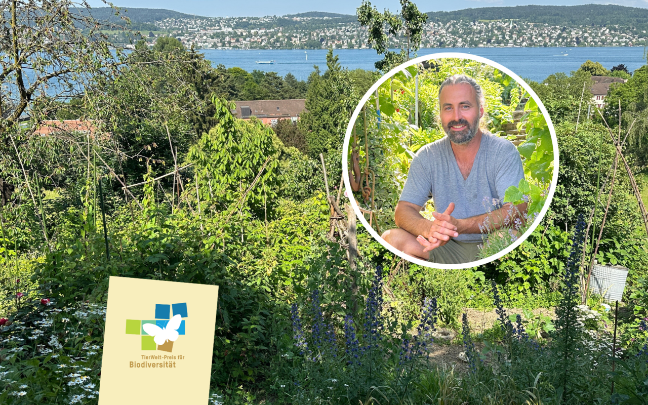 Im steilen Garten wachsen über 500 Arten auf rund 300 Quadratmetern.