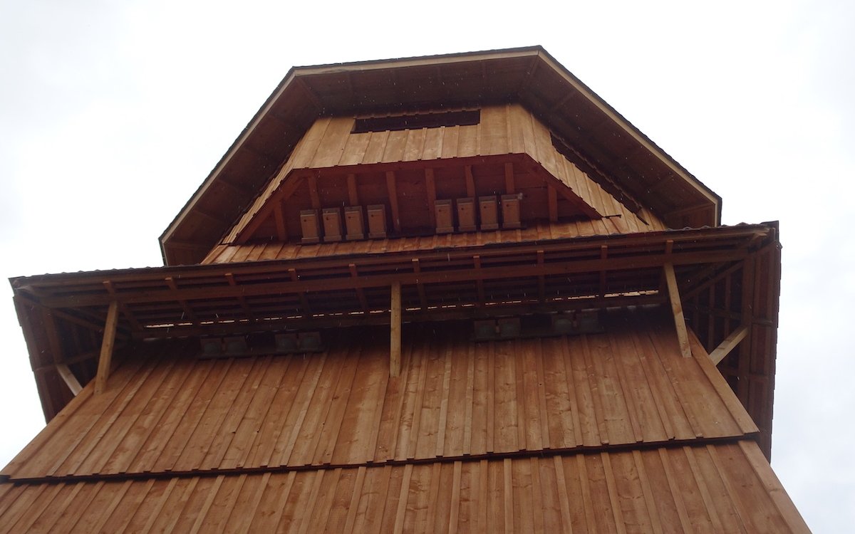 Der neue Holzturm im Papiliorama dient nicht nur Besucherinnen und Besuchern, sondern beherbergt auch Nistmöglichkeiten für verschiedene Vogelarten. 