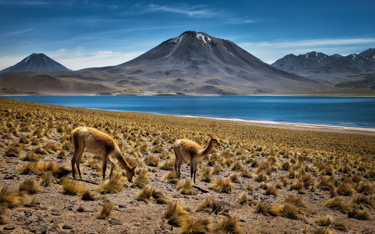 Die Atacama in Chile ist einer der trockensten Orte der Erde. 