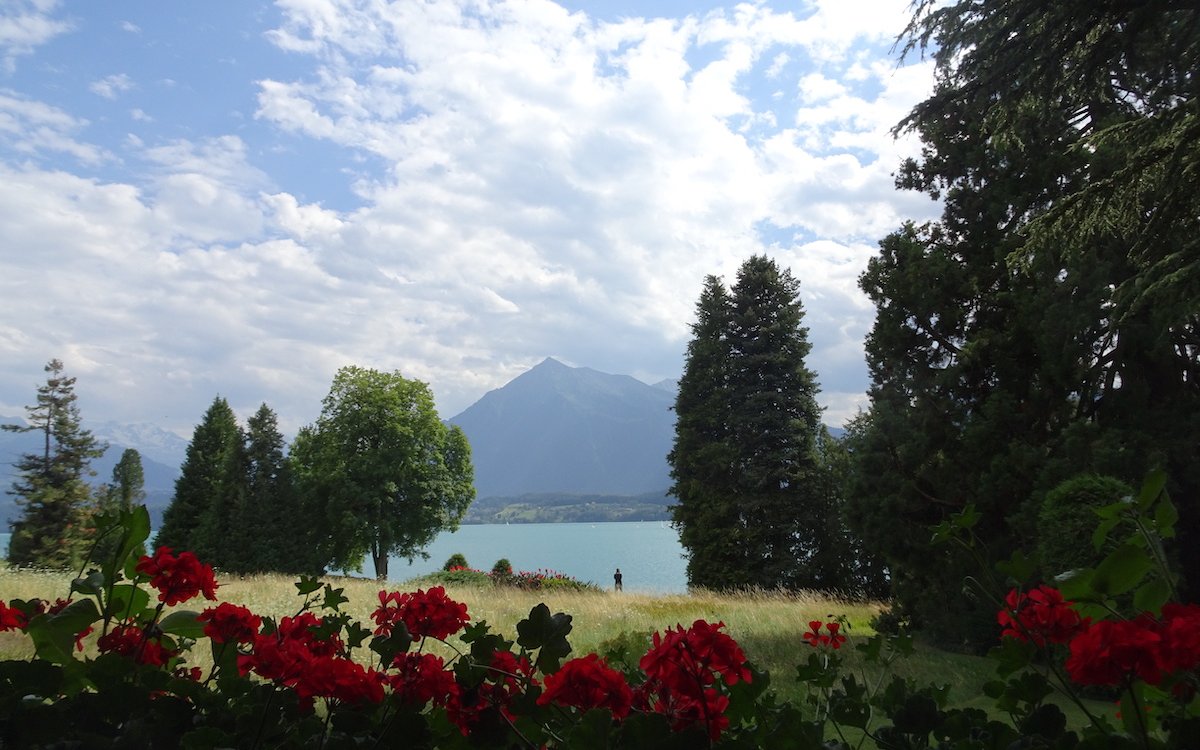 Der Park des Schlosses Oberhofen korrespondiert mit dem See und den Bergen wie hier mit dem markanten Niesen.