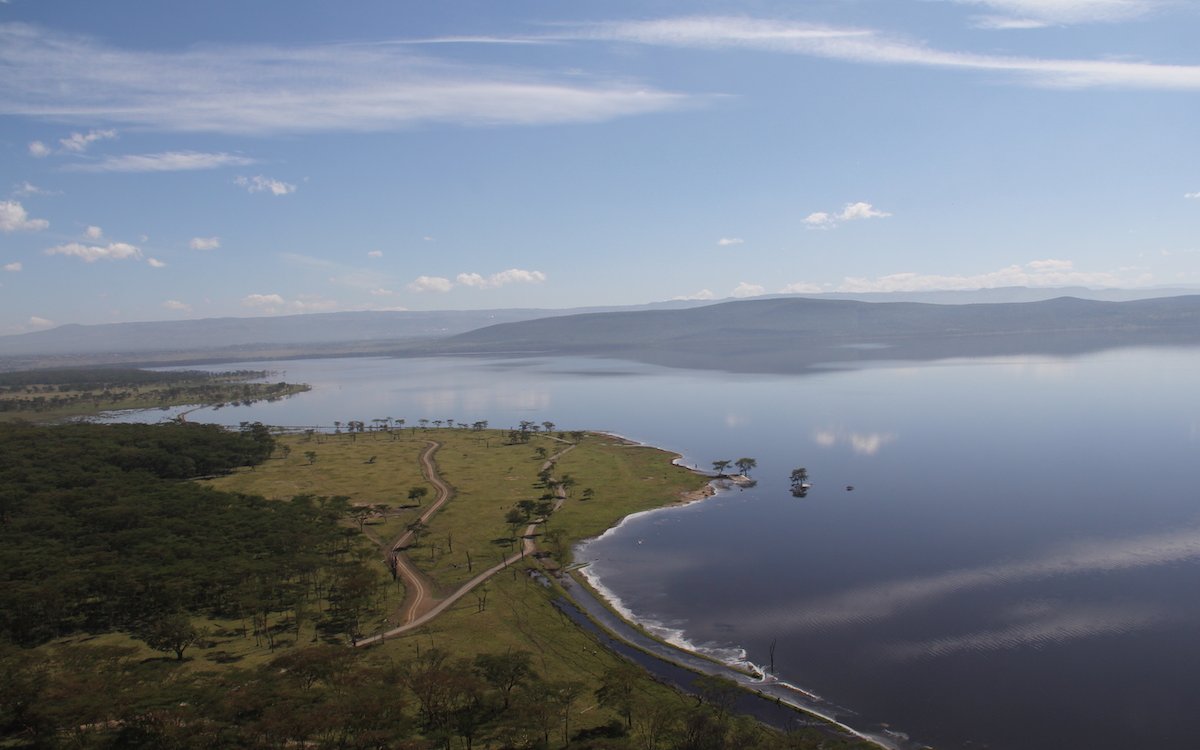 Blick auf den Nakuru See in Kenia, in dessen Umgebung Giraffen leben. 