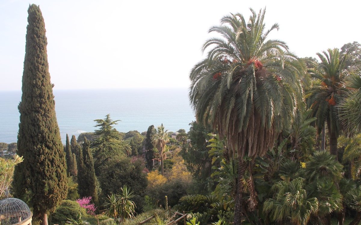 Im Hanbury Garten in Ventimiglia an der italienischen Riviera gedeihen auch exotische Gewächse aus Südafrika, von den Kanaren und aus Chile. 