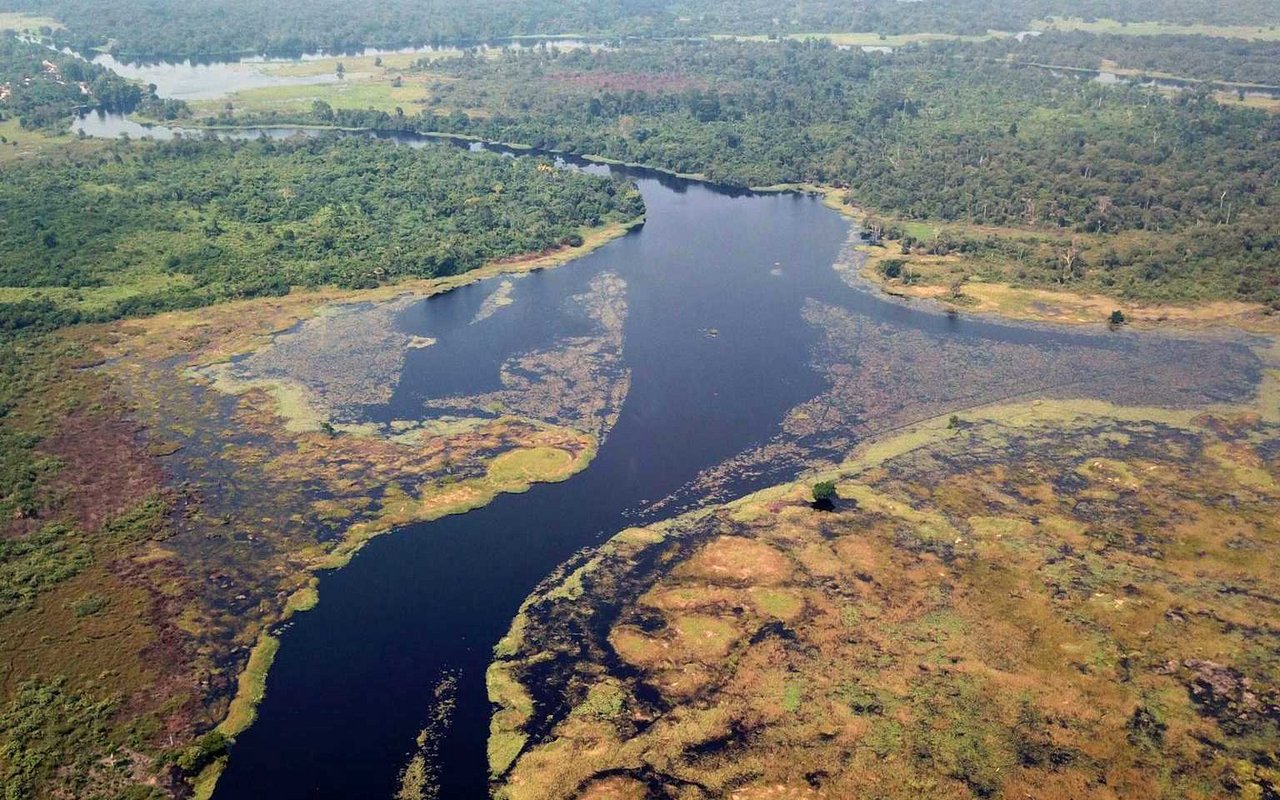 Der Ruki ist ein Zufluss des Kongo und der wohl schwärzeste Fluss der Welt.