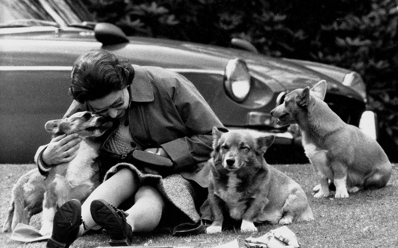 Elizabeth II. nutzt 1973 eine Pause während der Royal Windsor Horse Show, um ihre Corgis zu herzen.