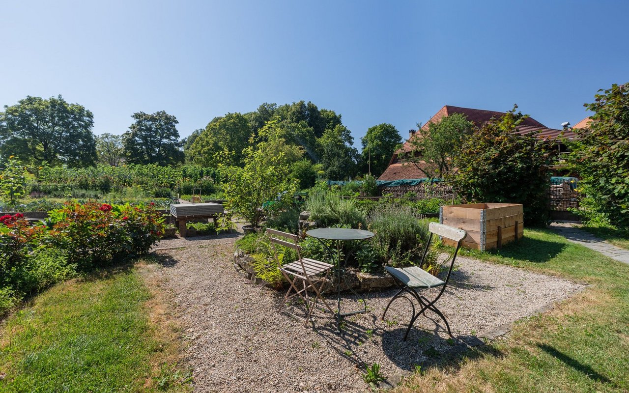 Der grosse Garten liefert viel Gemüse, ist aber auch ein schöner Erholungsort.