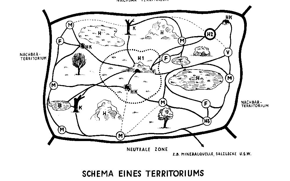 Schematische Darstellung eines Territoriums mit Fixpunkten durch Heini Hediger. 