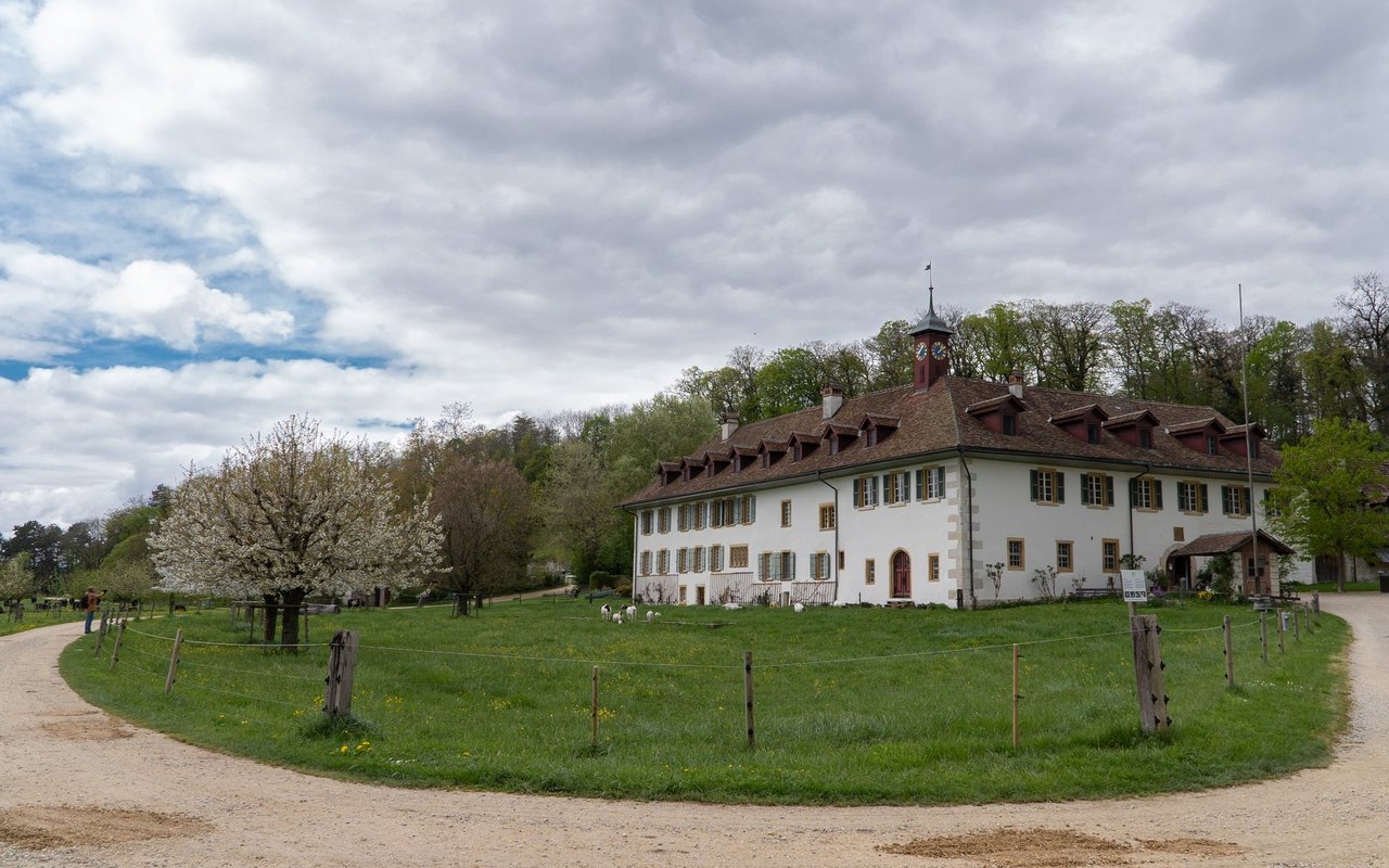 Das Kloster auf der Petersinsel.