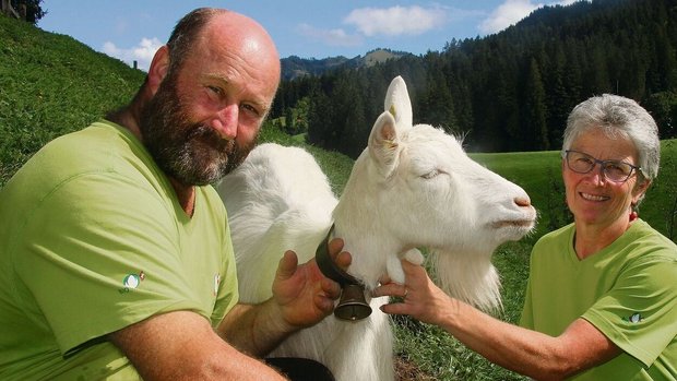 Beat und Kathrin Gerber mit ihrer Appelzellerziege Zilla. Die Kuh der raren Rasse Rätisches Grauvieh auf der Weide des Arche-Hofs Schangnau (unten links).