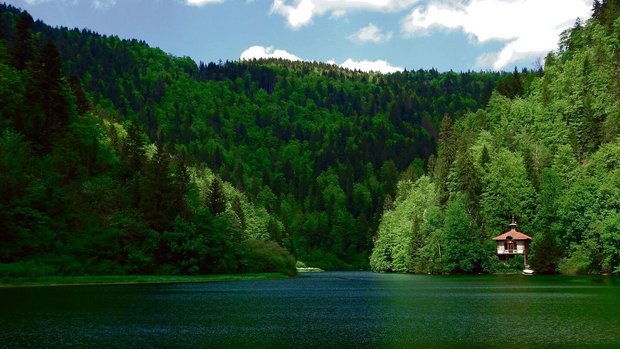 Der Jardin des Sonneurs am Doubs ist eine Trouvaille und wird im Gartenführer von Sarah Fasolin vorgestellt.