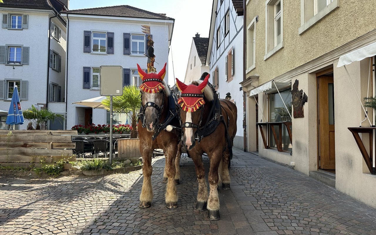 Aramis und Lord warten geduldig vor dem Ladenlokal. 