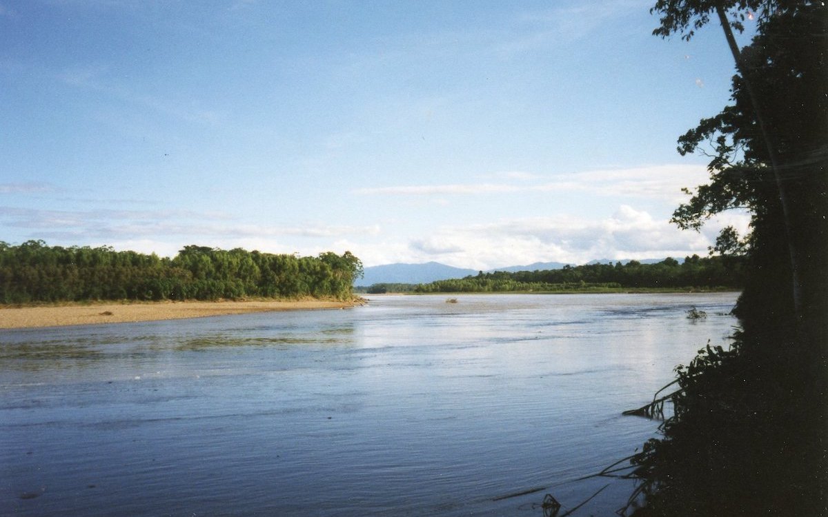 Das amazonische Tiefland in Peru bei Tambopata. 