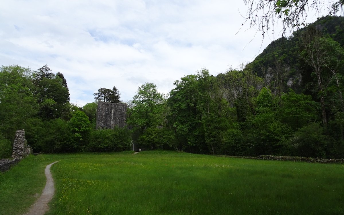 Überreste der Burg Weissenau.