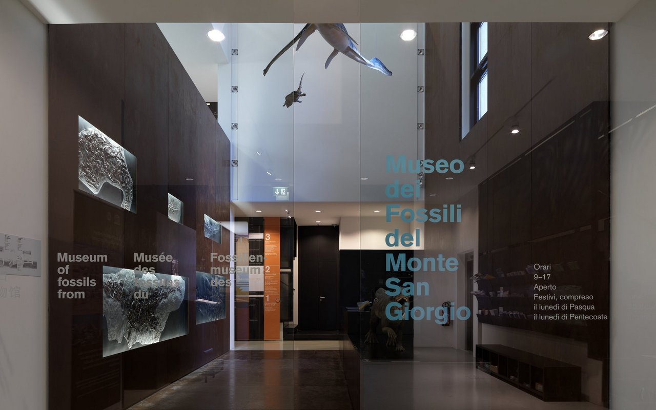 Das Fossilienmuseum am Monte San Giorgio hat eine aussergewöhnliche Sammlung ausgestellt. 