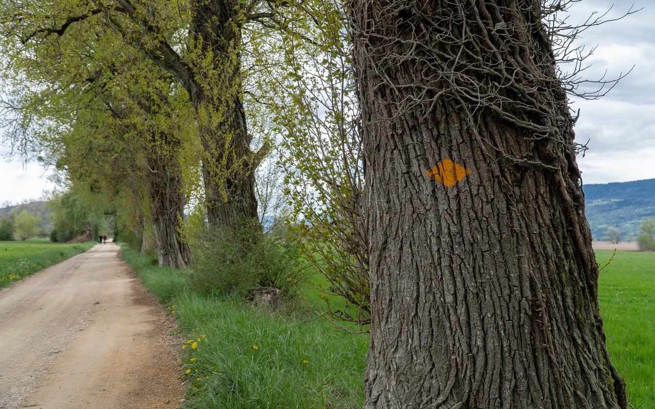 Eine Rundwanderung auf der Halbinsel dauert zu Fuss etwa drei Stunden und ist rund 11 Kilometer lang.