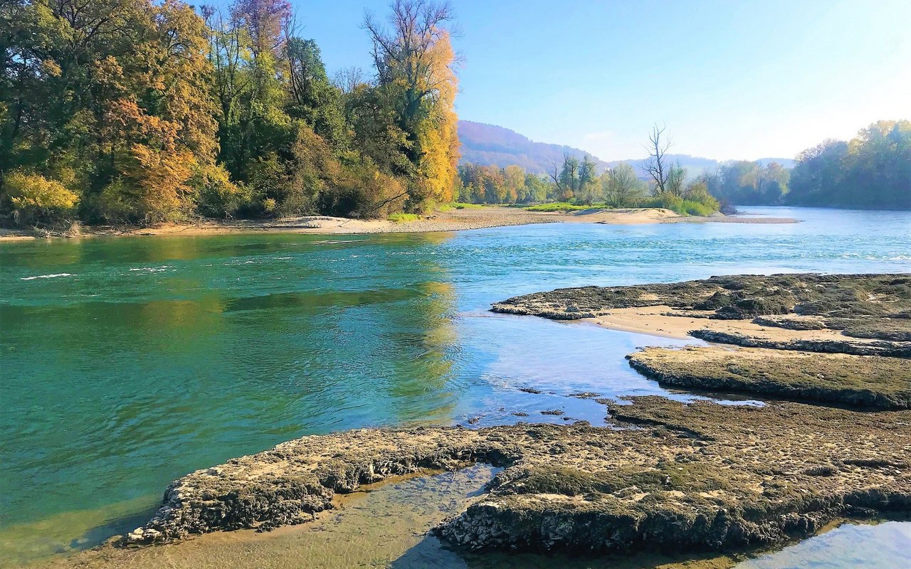 Durch die Renaturierungsprojekte im Wasserschloss werden Lebensräume wiedererschaffen, welche über Jahrhunderte durch intensive landwirtschaftliche und industrielle Nutzung verloren gingen.