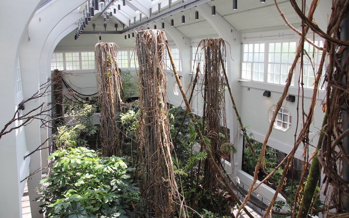 Sicht von der Galerie in den Freiflugraum für tropische Vögel im Vogelhaus des Basler Zoos. 