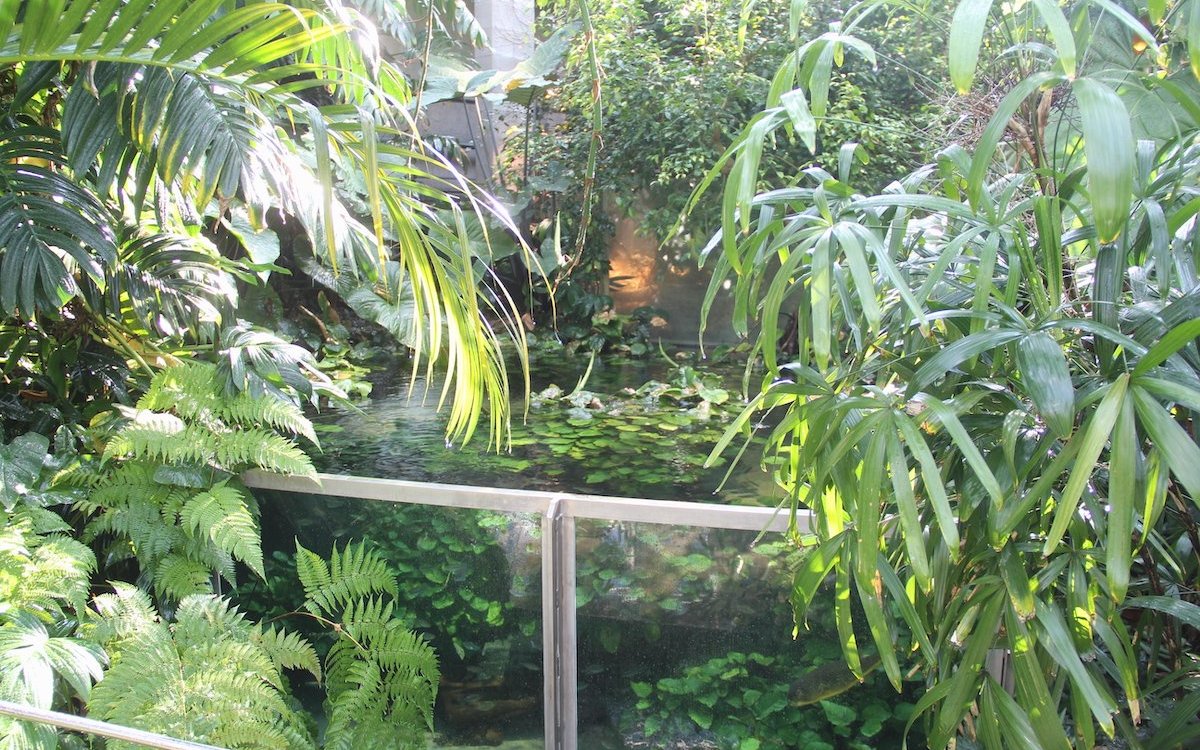 Ein Paludarium im Tierpark Bern. 