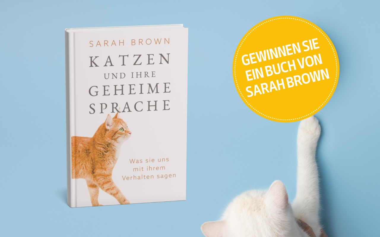 Dr. Sarah Brown ist eine erfahrene Verhaltensforscherin, die seit über 30 Jahren das Verhalten von Katzen untersucht und die Heimtierbranche sowie Tierschutzorganisationen berät.