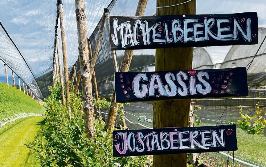 Im grossen Obstgarten gedeihen über 20 verschiedene Kulturen.