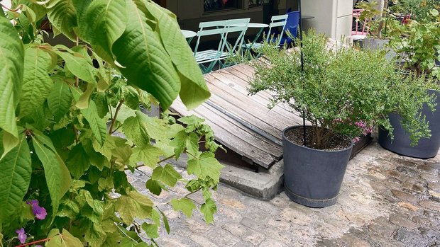 Bildlegende unten re Bildlegende unten rechts
